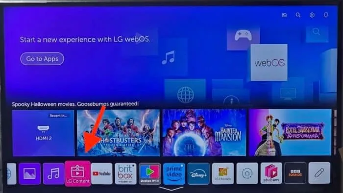 IBO Player auf LG Smart TV
